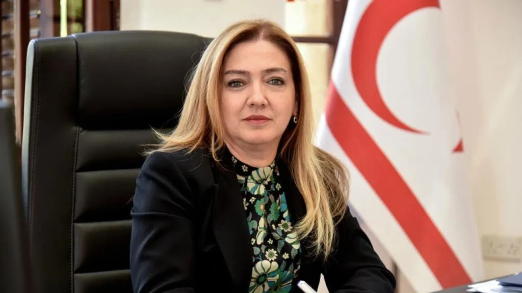 Ombudsman: Karara bağlanmayan yasa gücünde kararnameler 90 günde yürürlükten kalkar