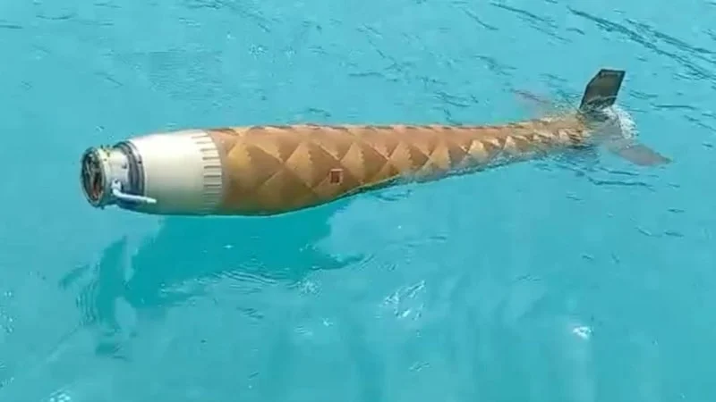 Sinop açıklarında şüpheli cisim bulundu