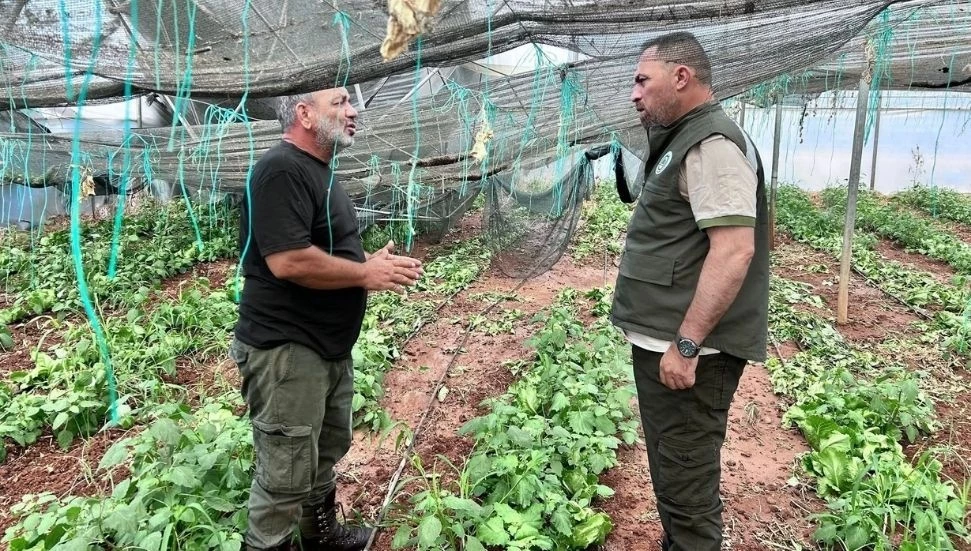 Çavuş, Güneşköy ve Aydınköy’de: Tarımsal zararlar için hasar tespiti başlıyor