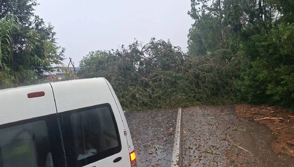 Güzelyurt-Kalkanlı yolu trafik akışına kapatıldı