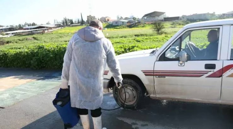 Güney Kıbrıs’ta şap hastalığı kontrol altında