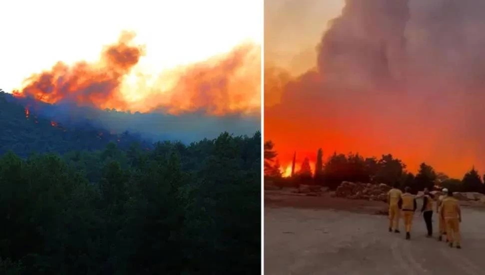 Muğla ve Antalya’da orman yangını!
