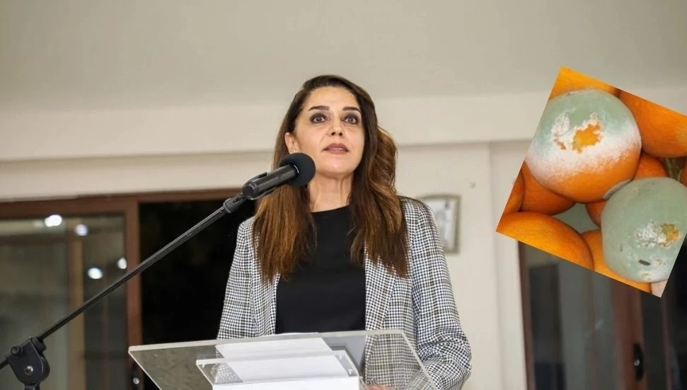 Kürşat: Cypfruvex’te yaşananların hesabı verilmeli
